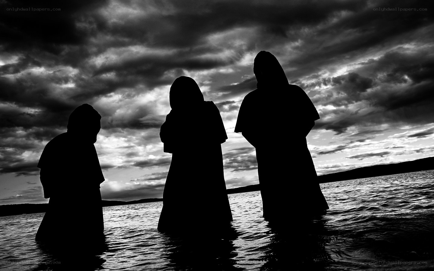 Silhouettes in the water