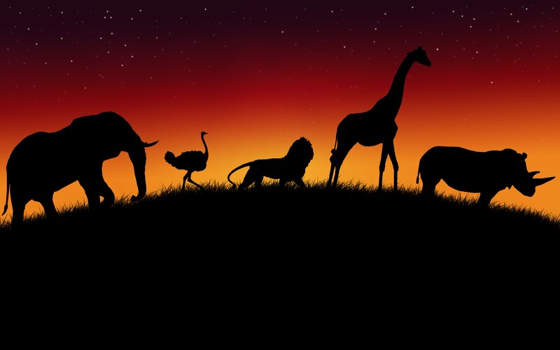 Silhouettes of African Animals