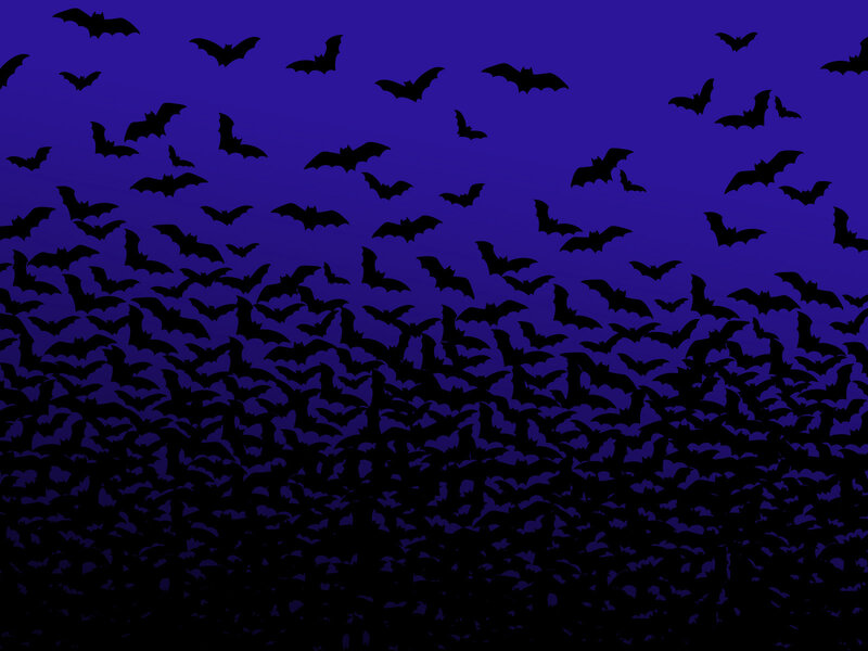 Silhouettes of Bats — Purple