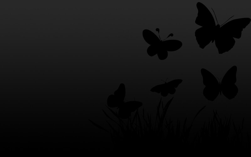 silhouettes of butterflies at night