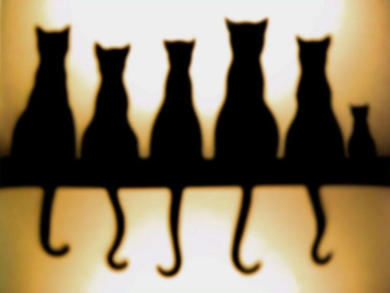 Silhouettes of Cats — Black