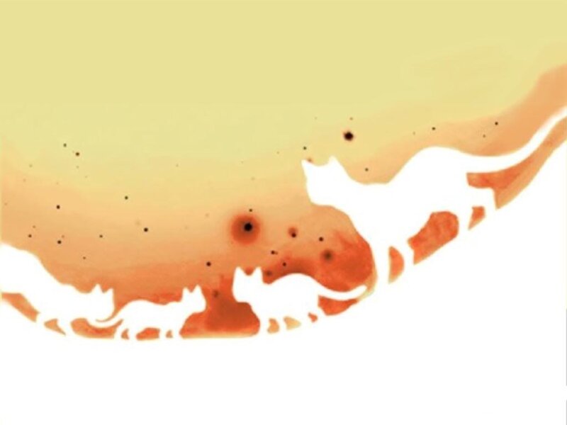 silhouettes of cats walking
