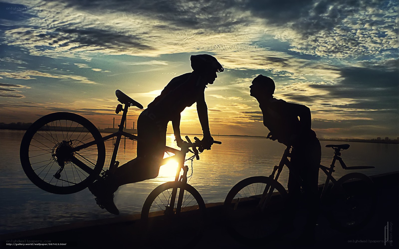 Silhouettes of cyclists at sunset