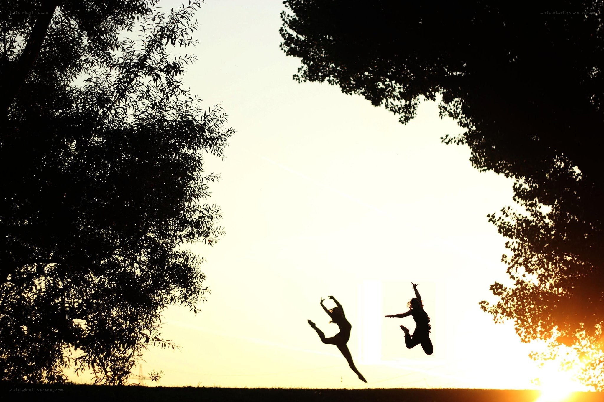 Silhouettes of dancers jumping