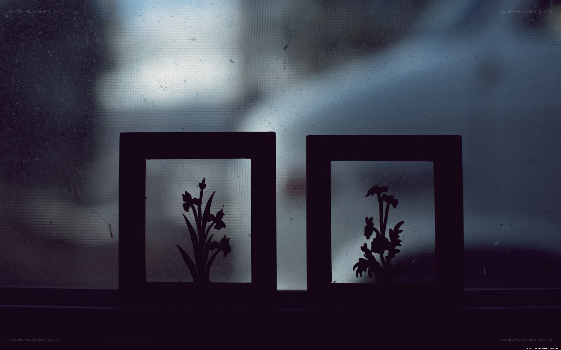 Silhouettes of flowers in frames