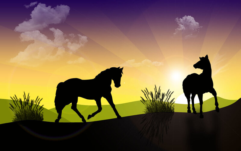 Silhouettes of horses at sunset