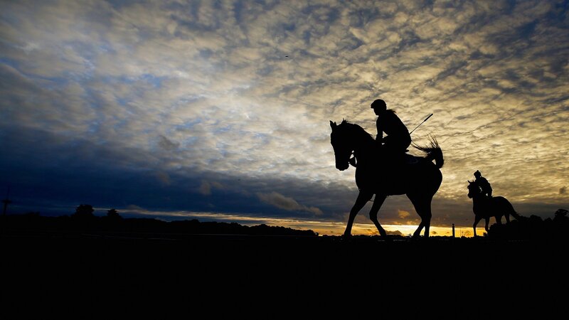 Silhouettes of riders at dusk
