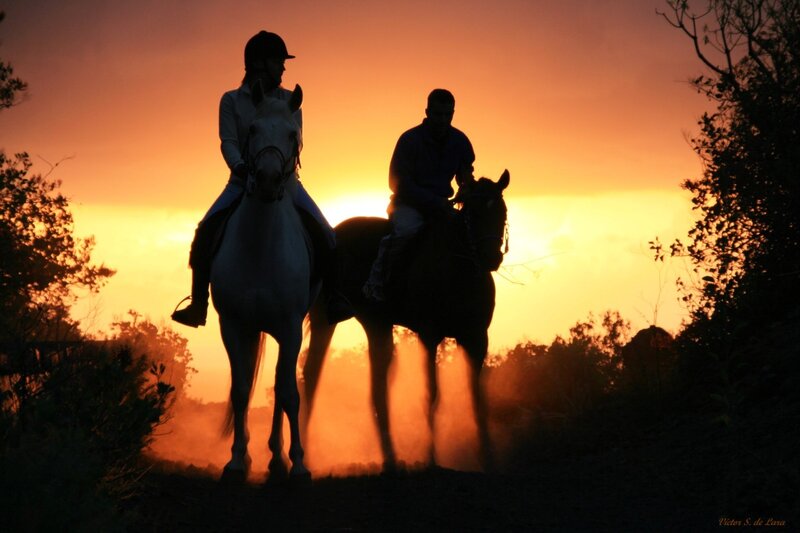 Silhouettes of riders at sunset