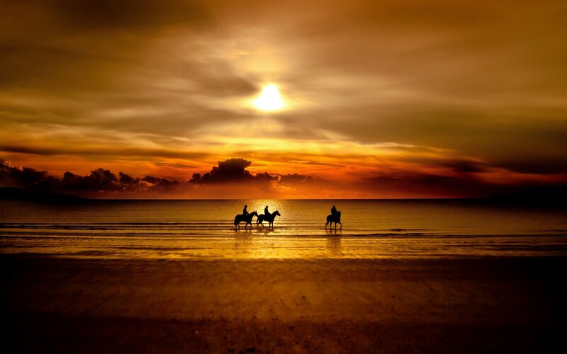 Silhouettes of Riders on Horses — Orange, Dramatic