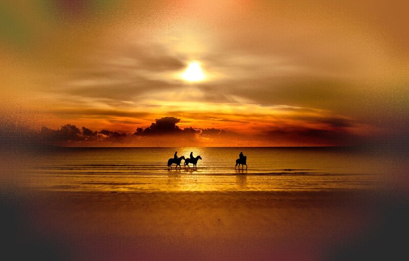 Silhouettes of Riders on Horses — Orange, Serene