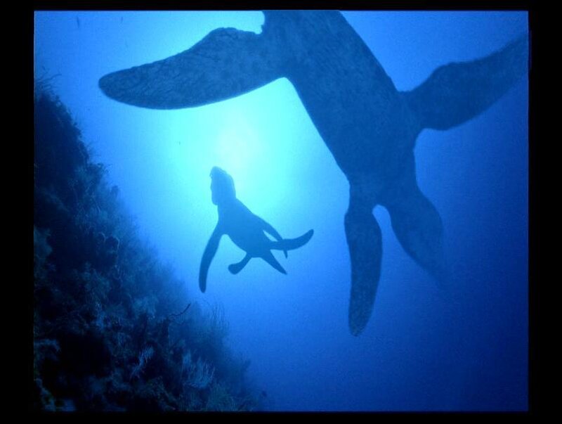 Silhouettes of sea turtles underwater