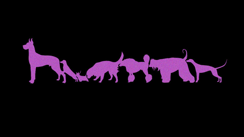 silhouettes of various dog breeds