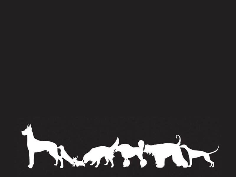 silhouettes of various dog breeds
