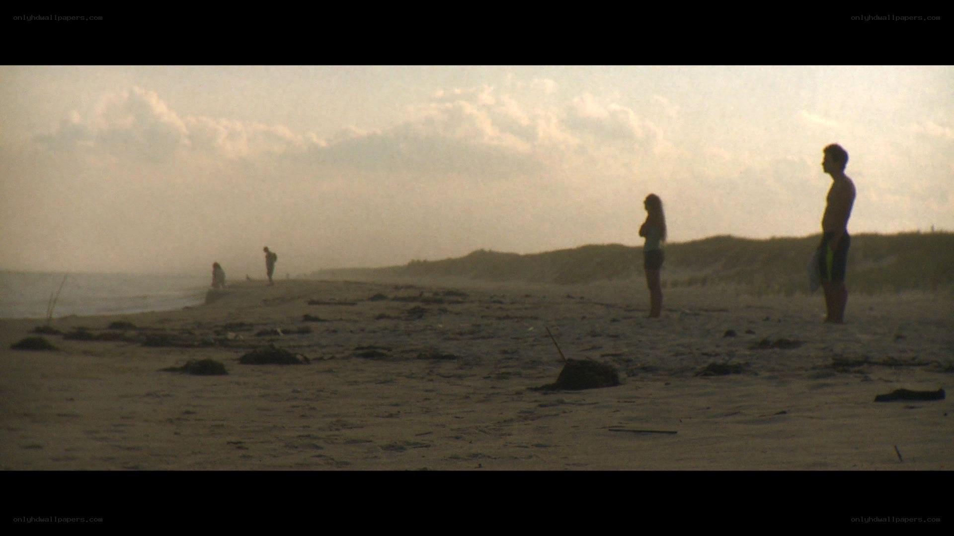 Silhouettes on a beach at dusk