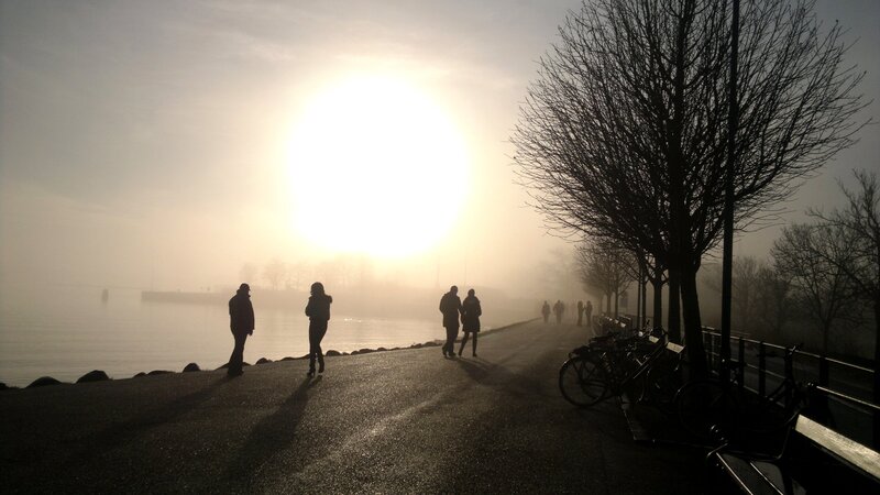 Silhouettes on a foggy waterfront