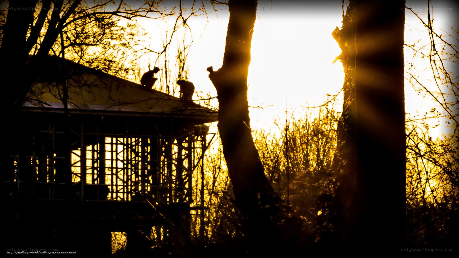 Silhouettes on a roof at sunset