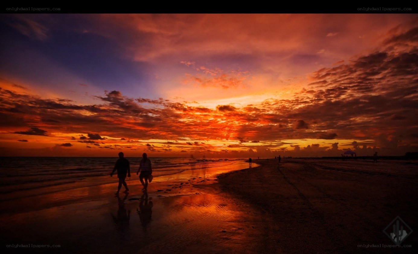 Silhouettes on a sunset beach