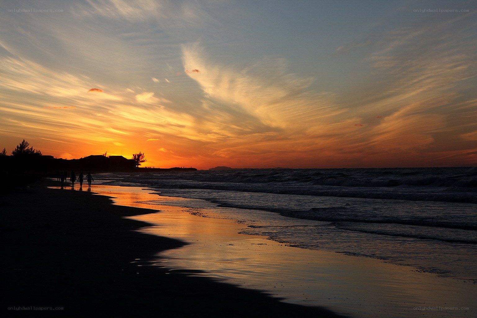 Silhouettes on a sunset beach