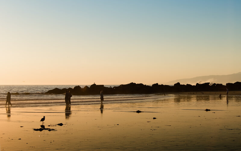 Silhouettes on beach at sunset