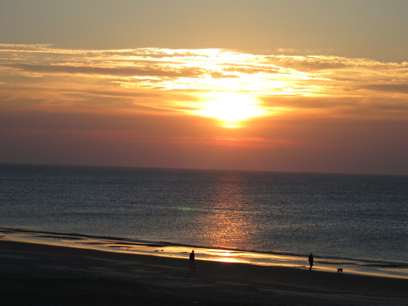 Silhouettes on Beach — Orange, Serene, Sunset, Photograph, People, Dog