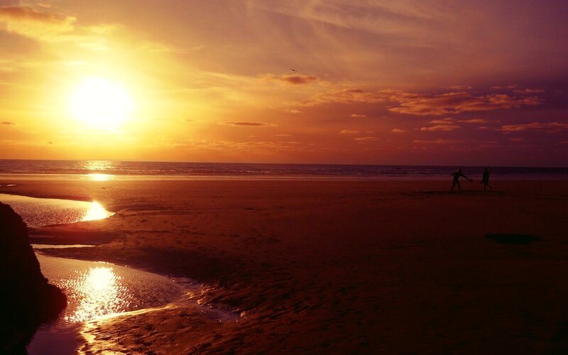 Silhouettes on Beach — Orange, Serene, Sunset, Photograph, Sun, Ocean, Sand, Bird