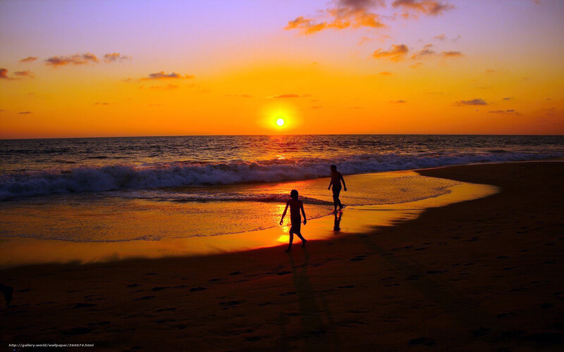Silhouettes on Beach — Orange, Serene, Sunset, Photograph, Sun, Ocean, Sand