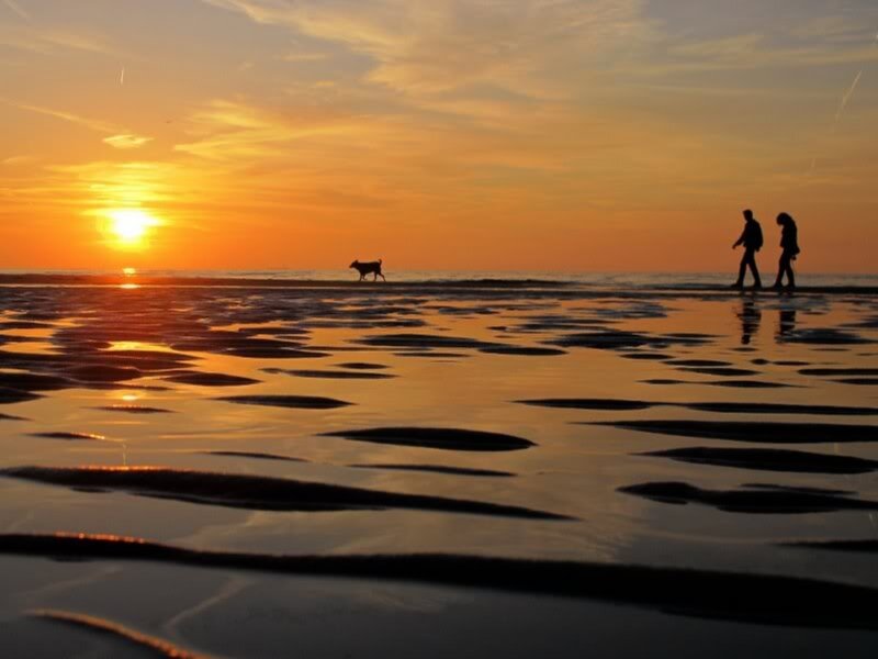Silhouettes on Beach — Orange, Serene, Sunset, Photograph