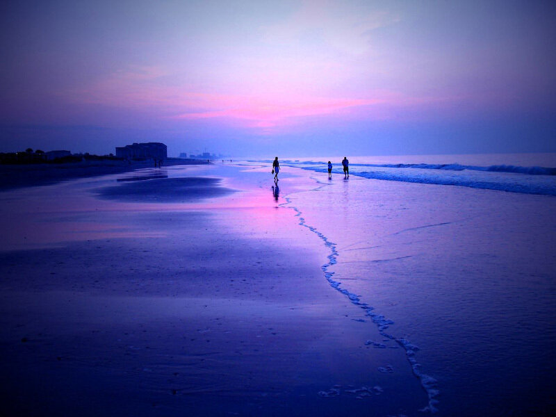 Silhouettes on Beach
