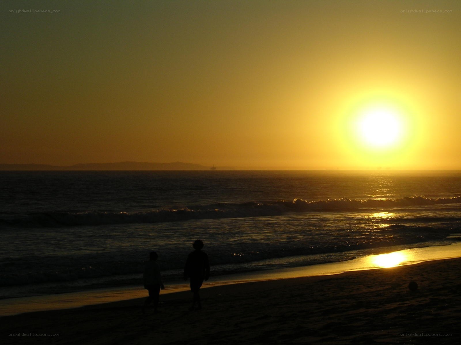 Silhouettes on the beach at sunset