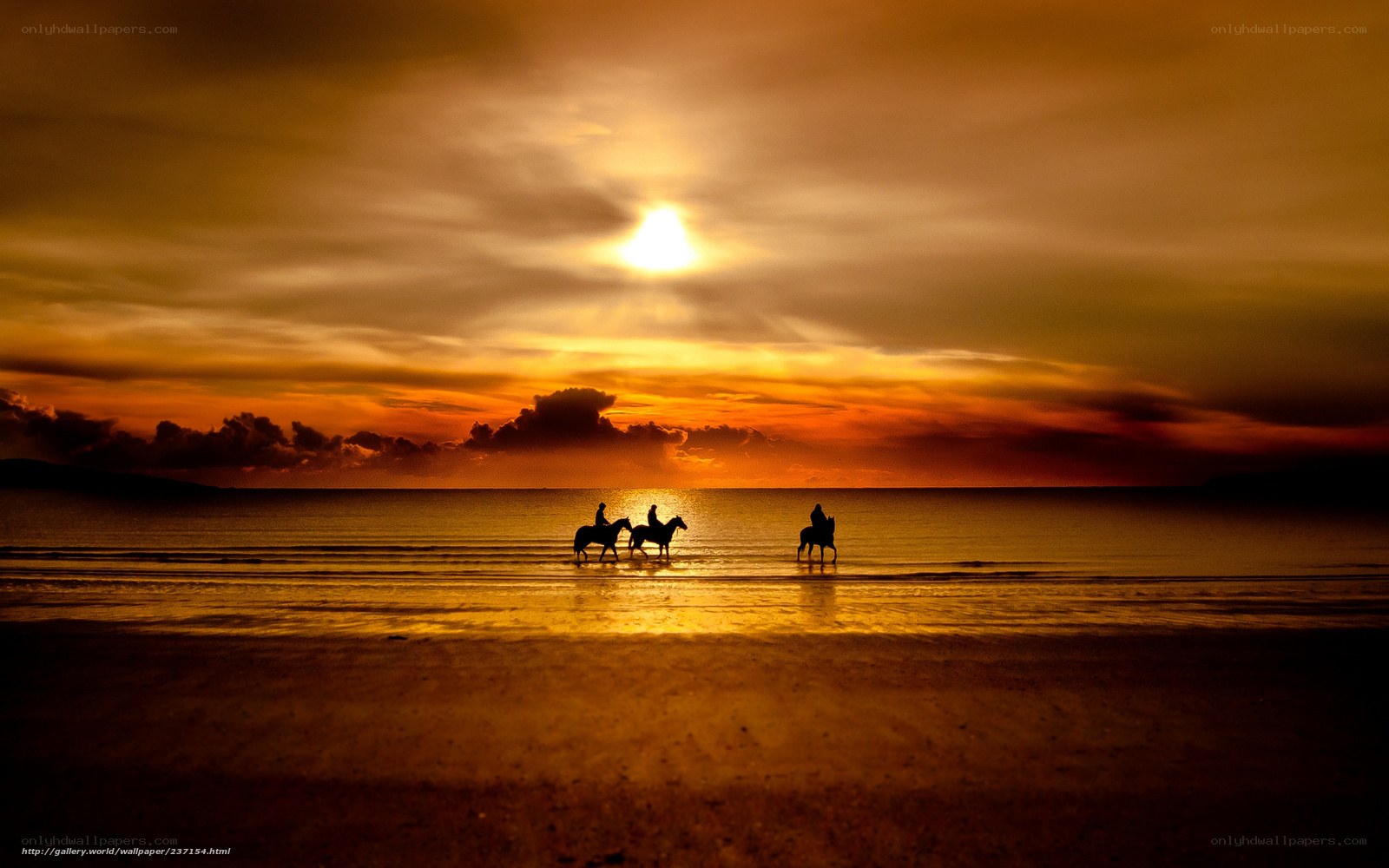 Silhouettes on the beach at sunset