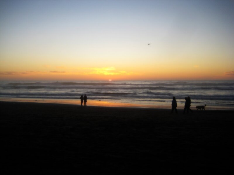Silhouettes on the beach at sunset