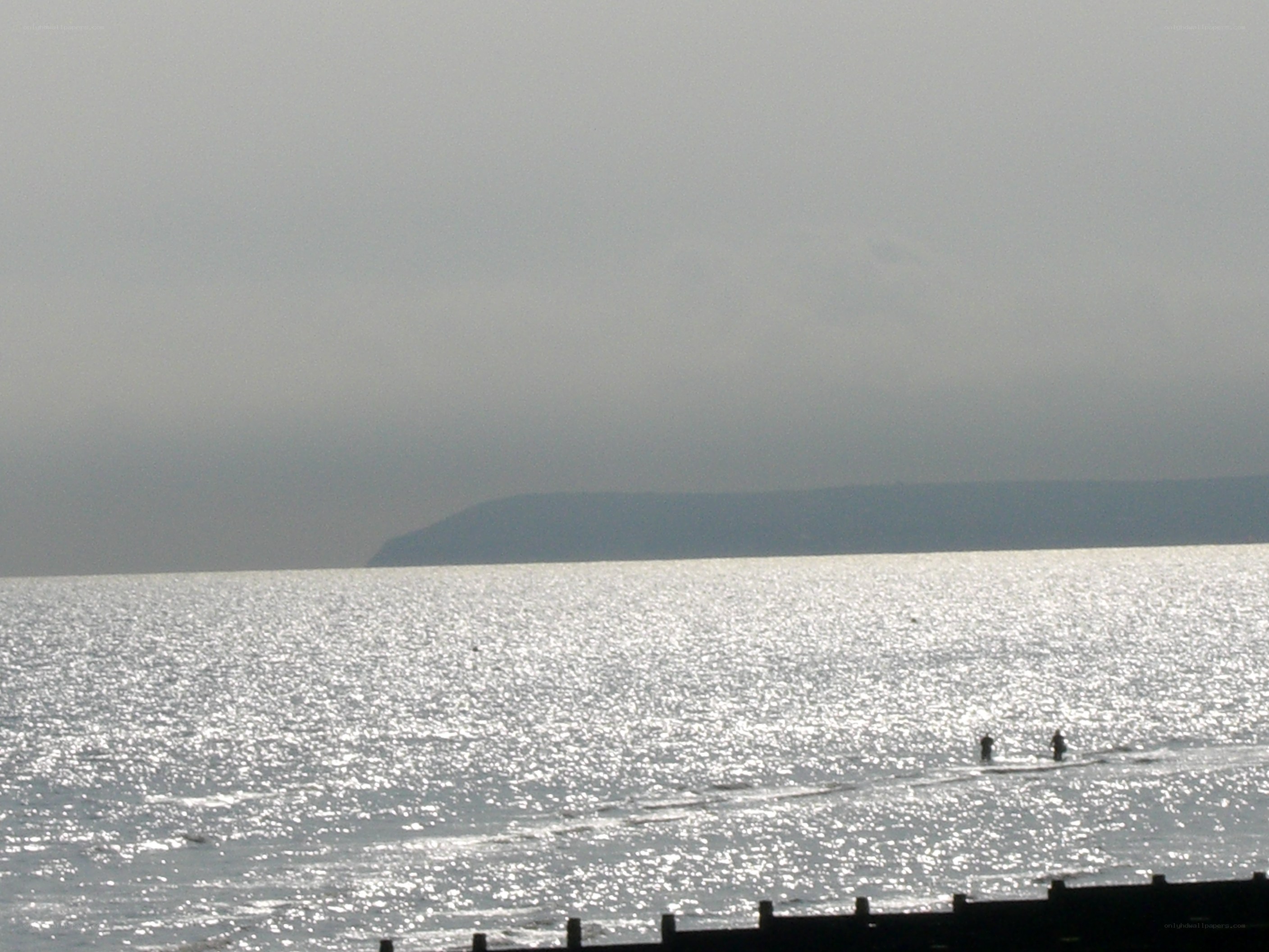 silhouettes on the beach