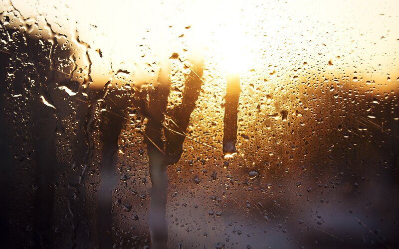 Silhouettes on Wet Window