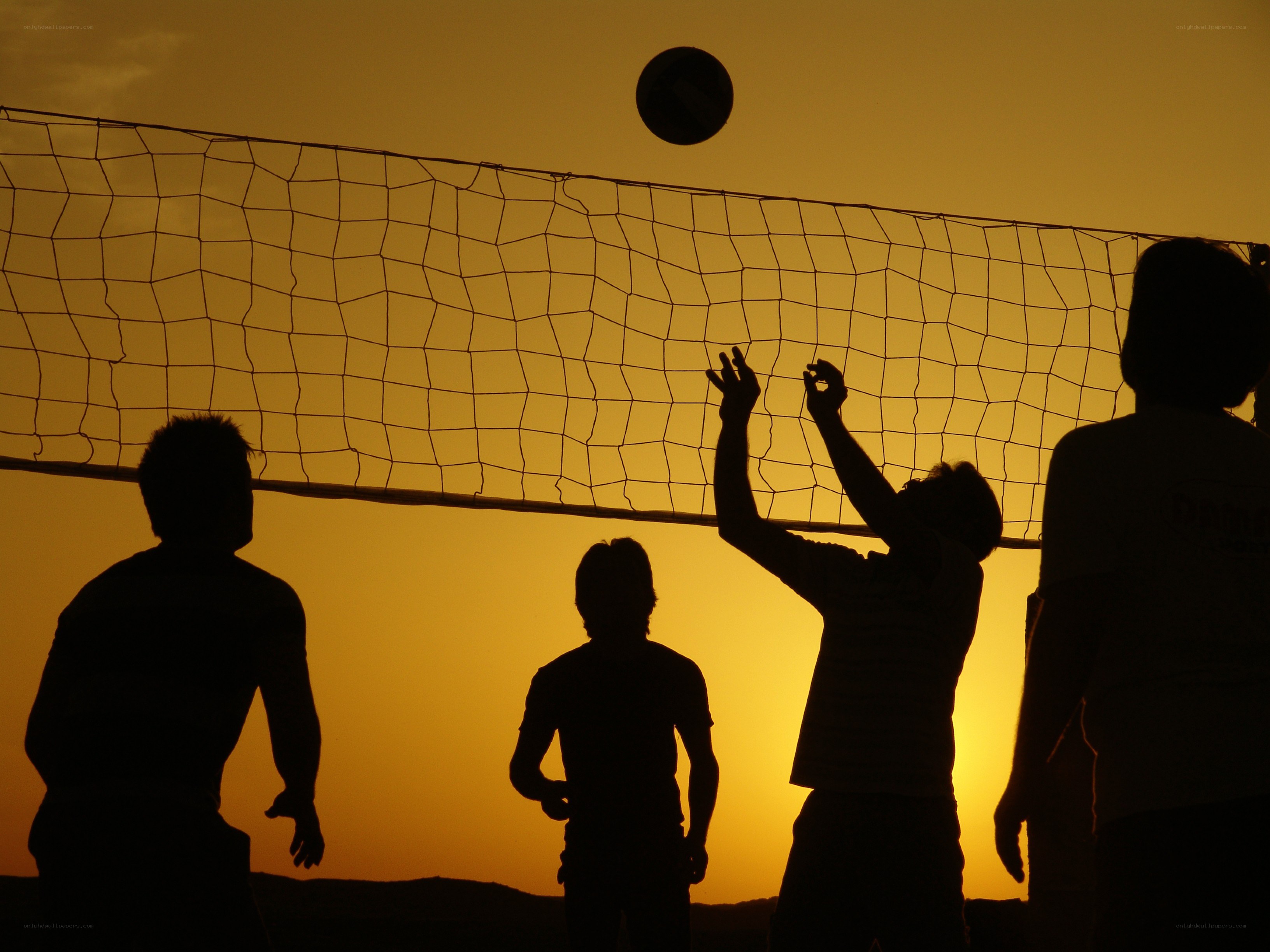 Silhouettes playing volleyball at sunset