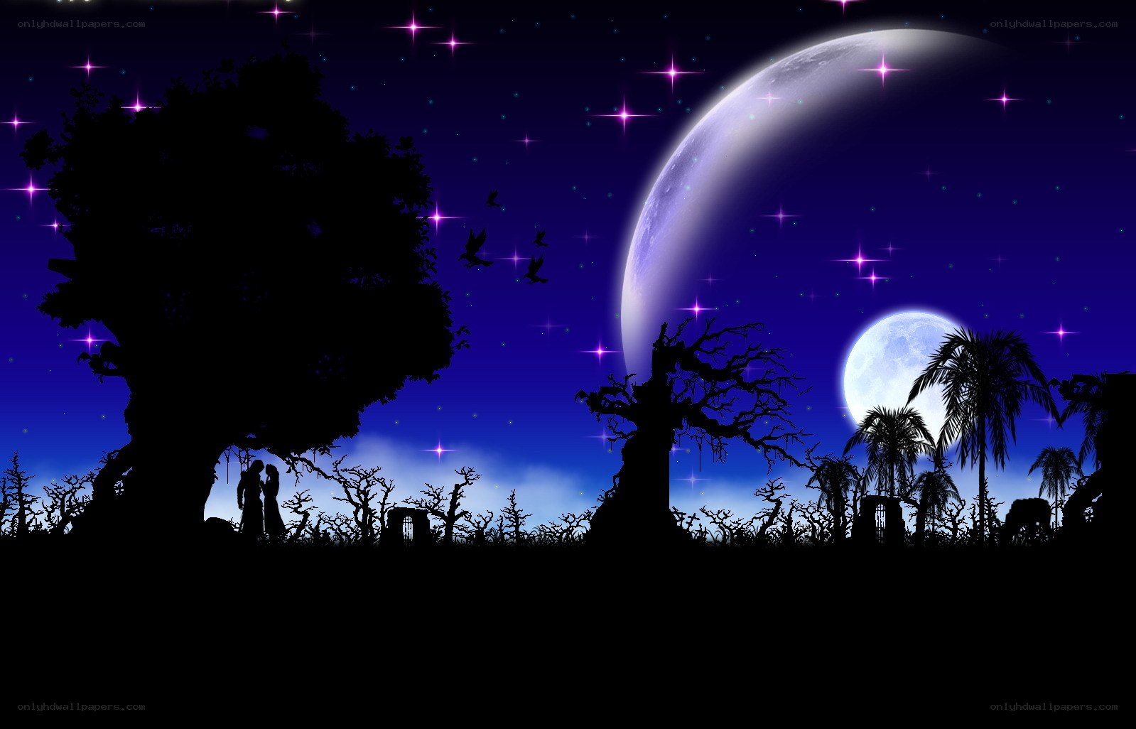 Silhouettes under a starry sky