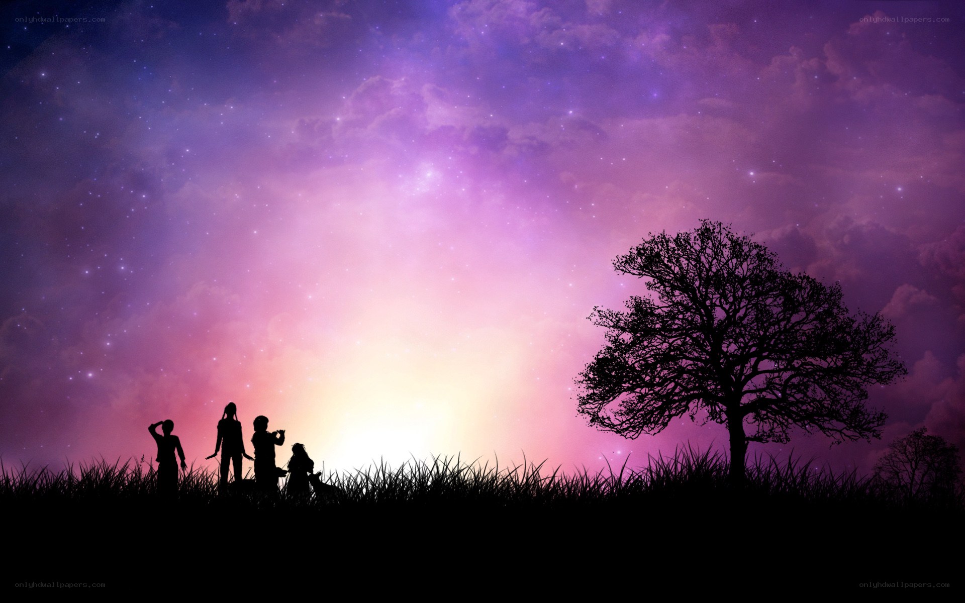 Silhouettes under a starry sky