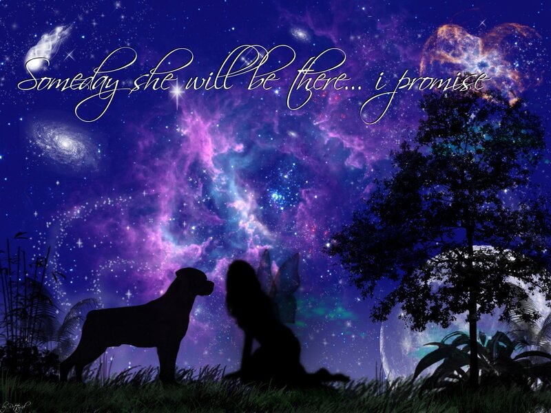 Silhouettes under a starry sky