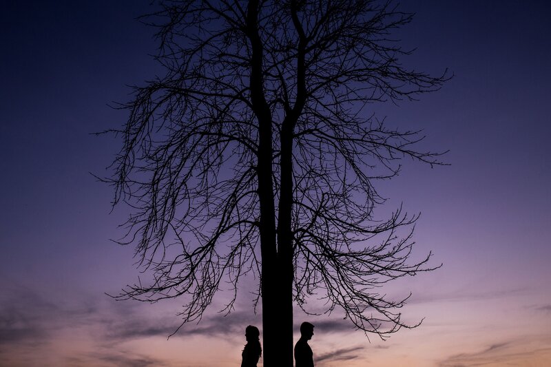 Silhouettes under bare tree