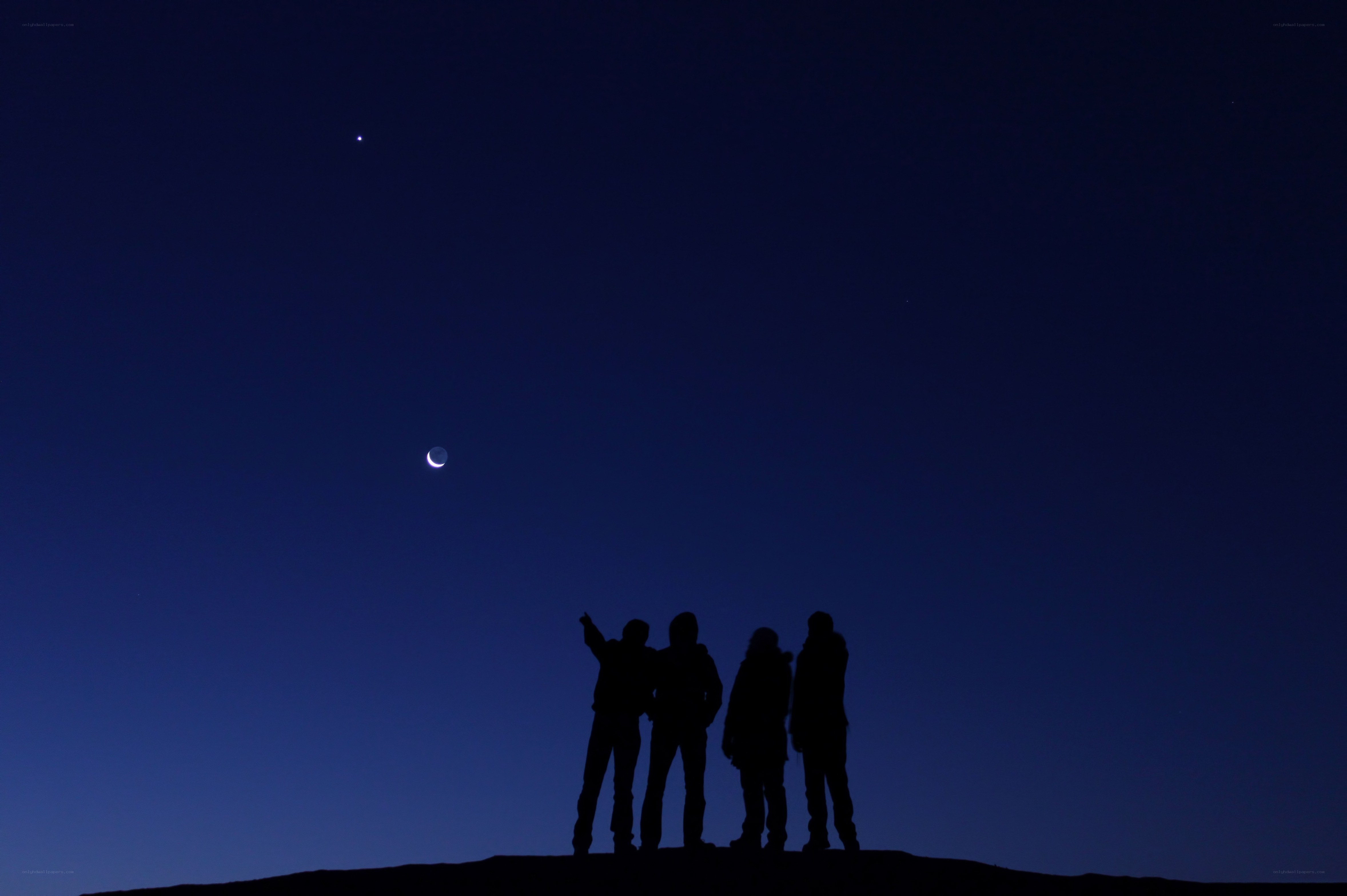 Silhouettes under the night sky