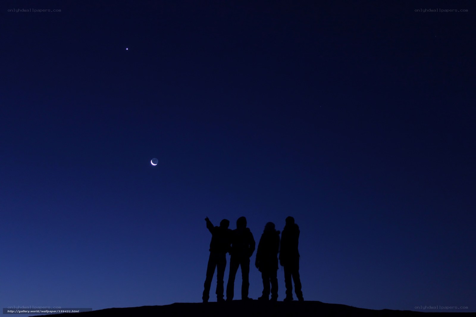 Silhouettes under the night sky