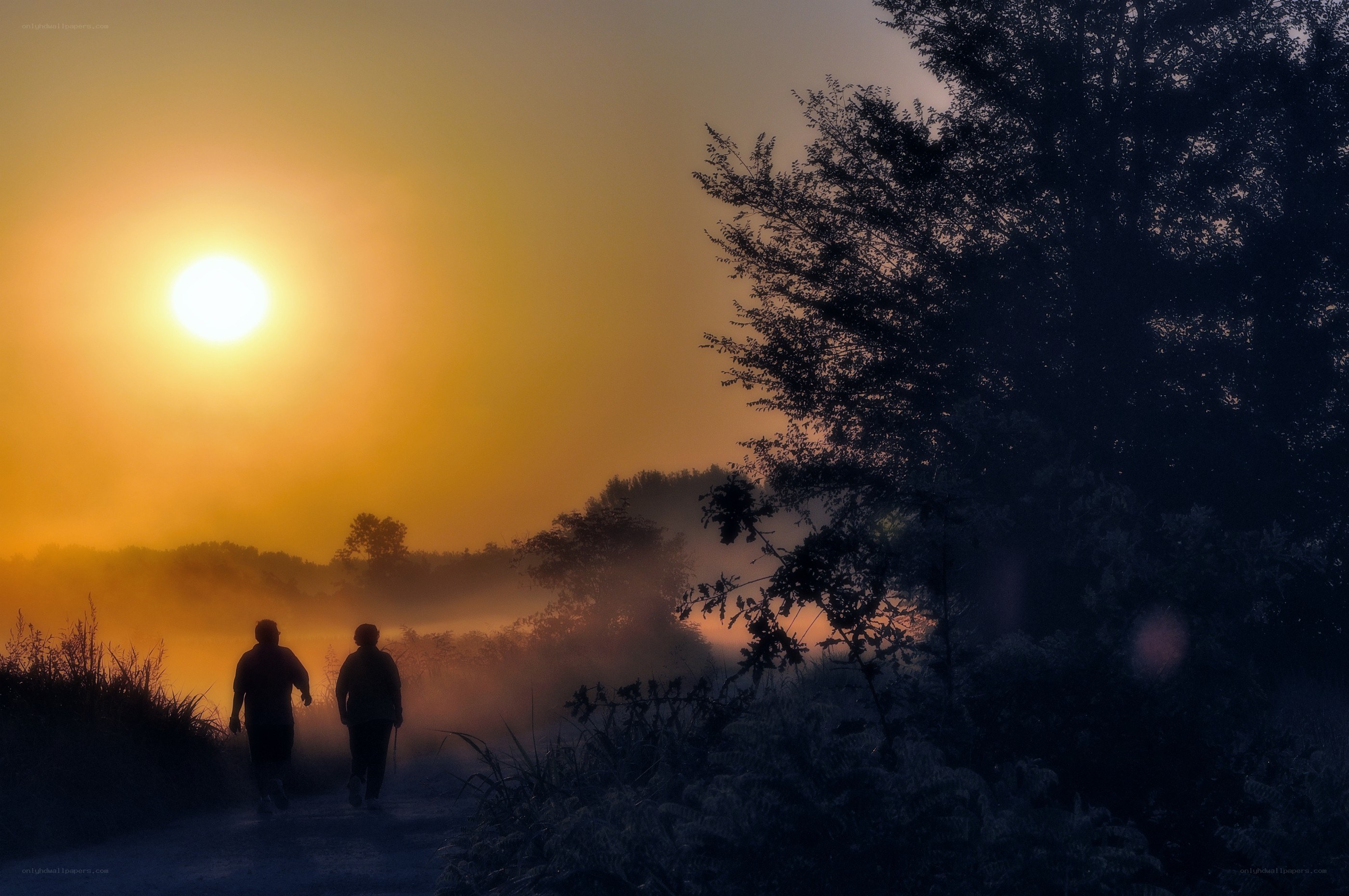Silhouettes walking at sunrise