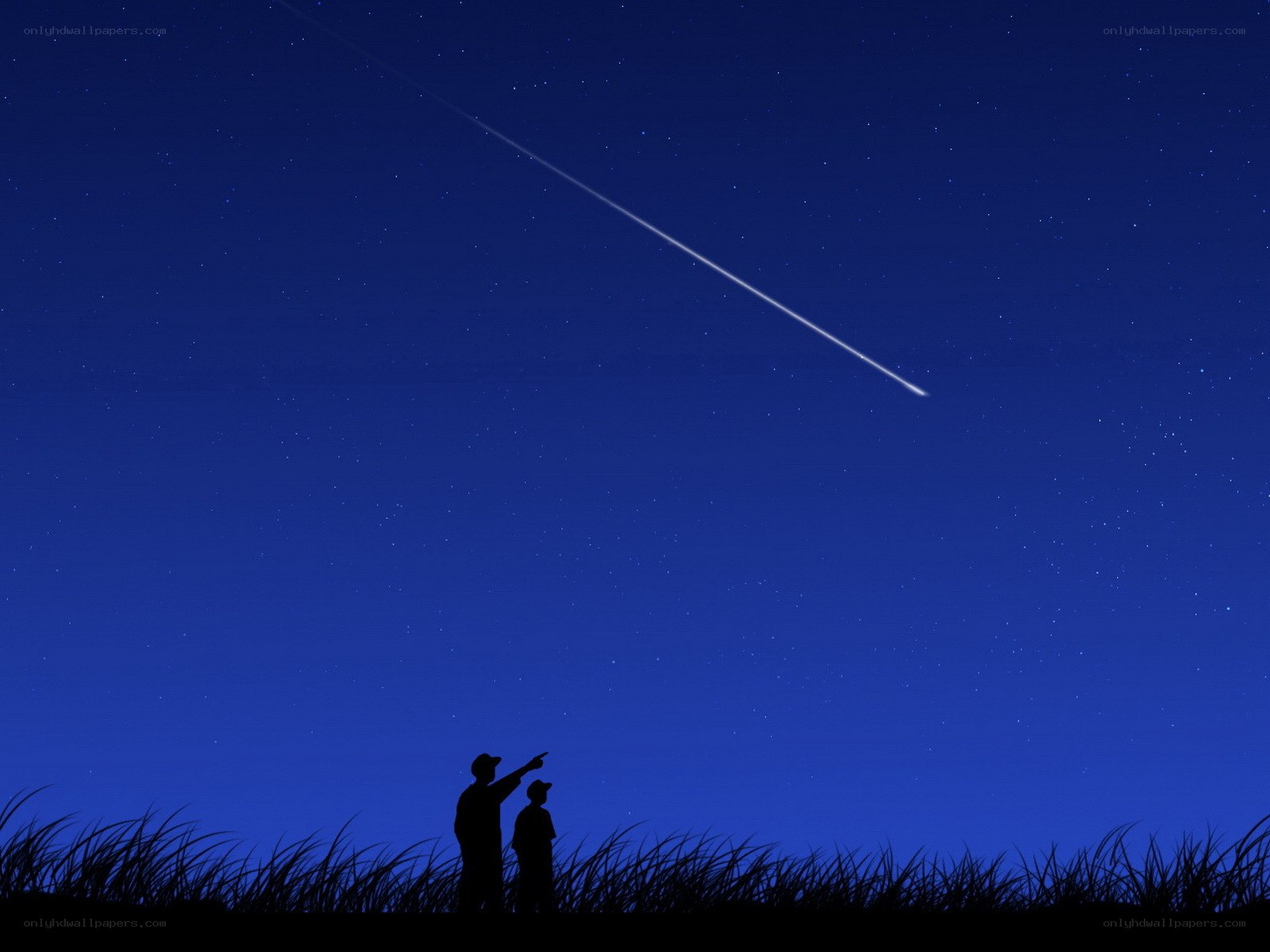 Silhouettes watching a meteor