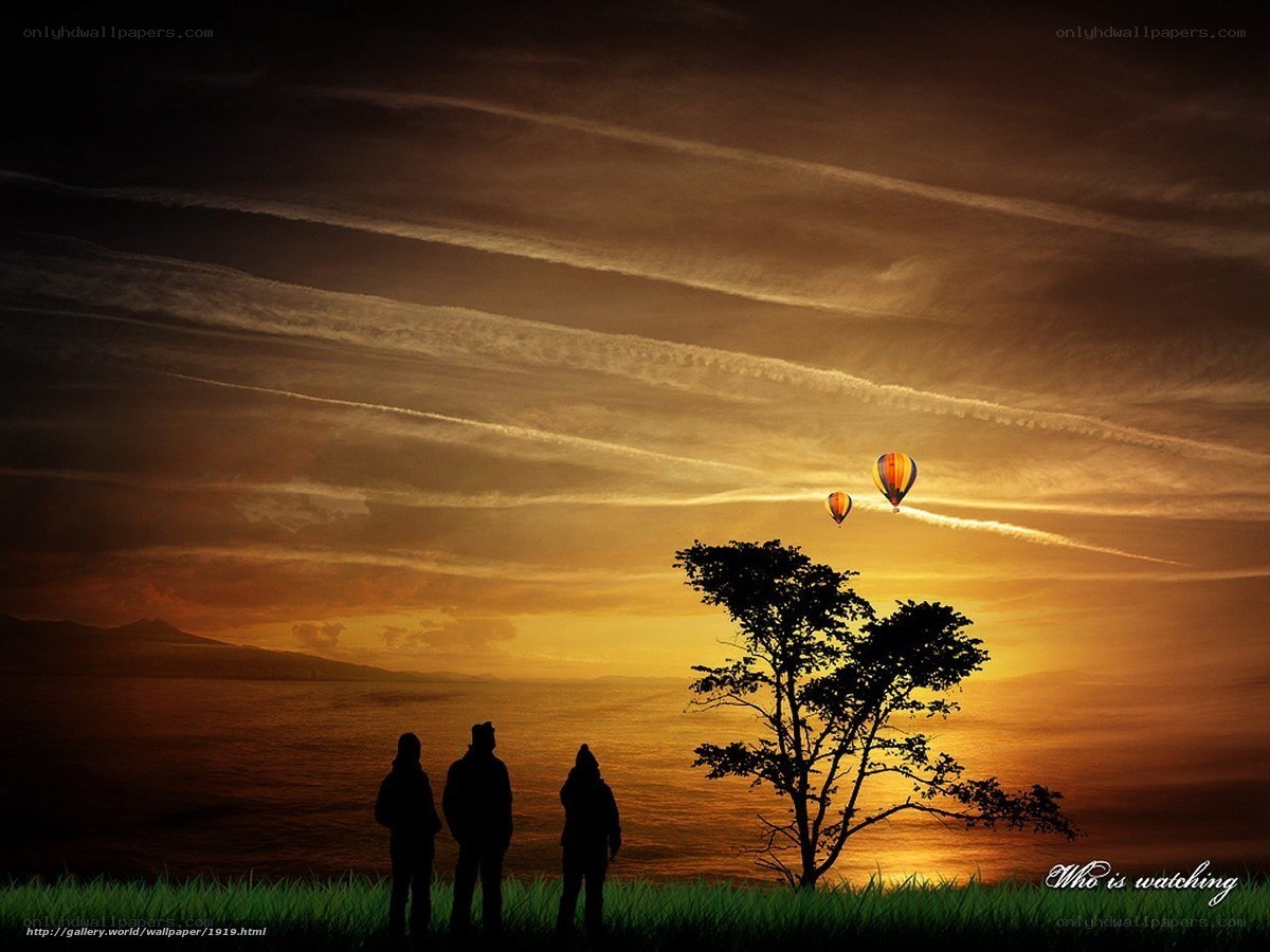 Silhouettes watching hot air balloons