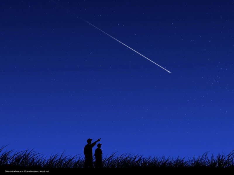 Silhouettes watching meteor shower