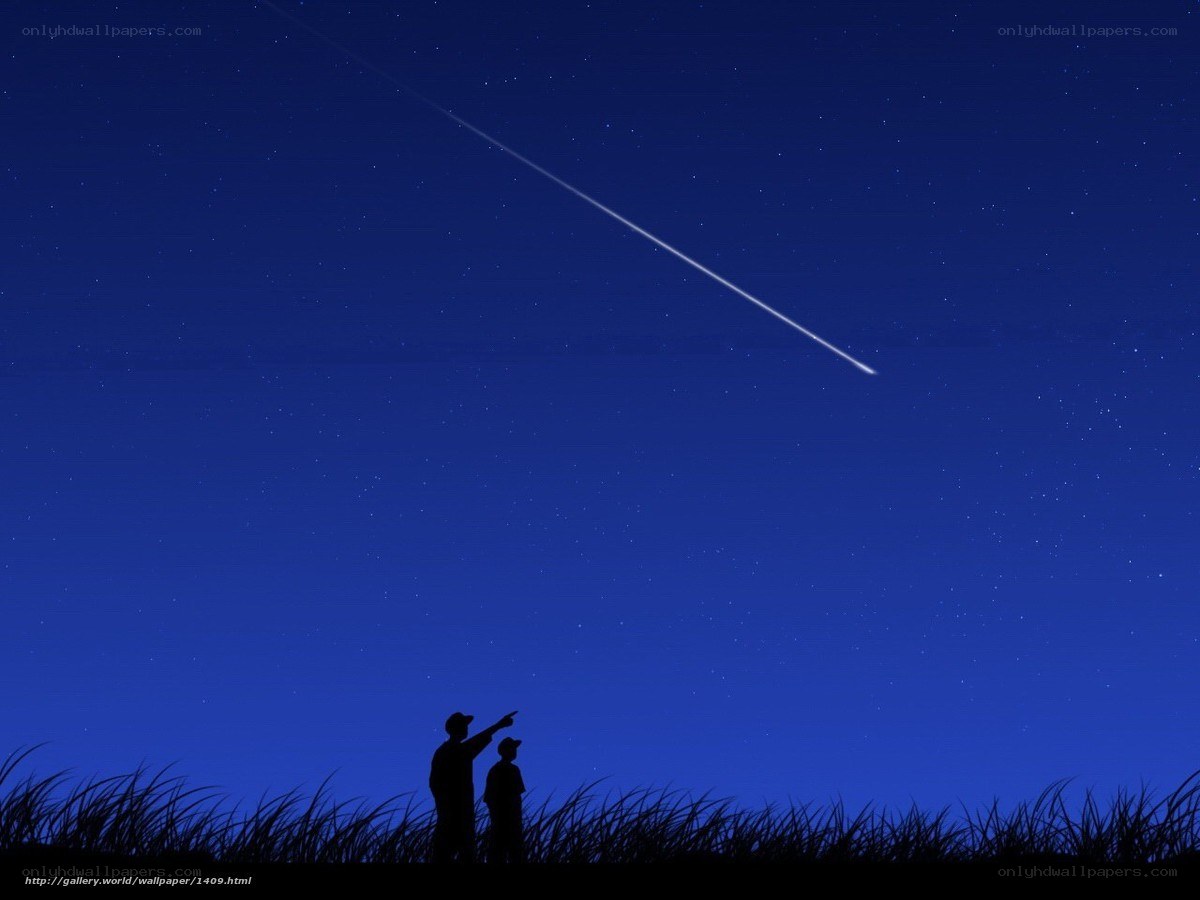 Silhouettes watching meteor shower