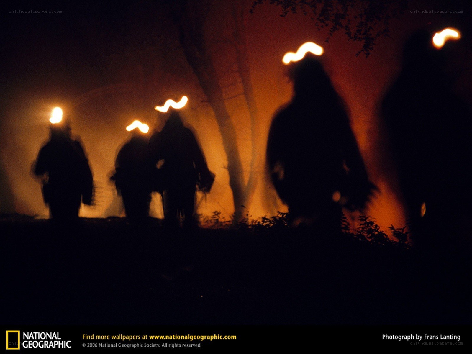 Silhouettes with headlamps at night