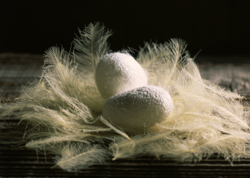 Silk cocoons with feathers