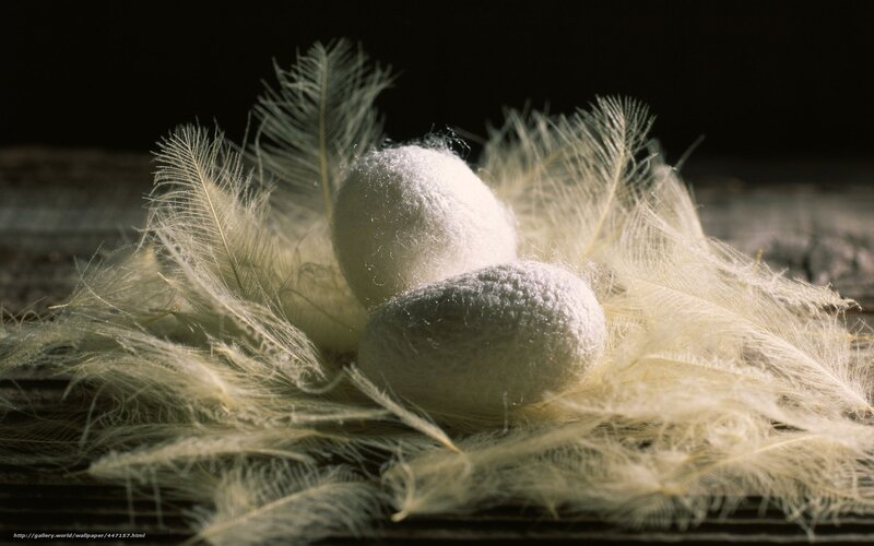 Silk cocoons with feathers