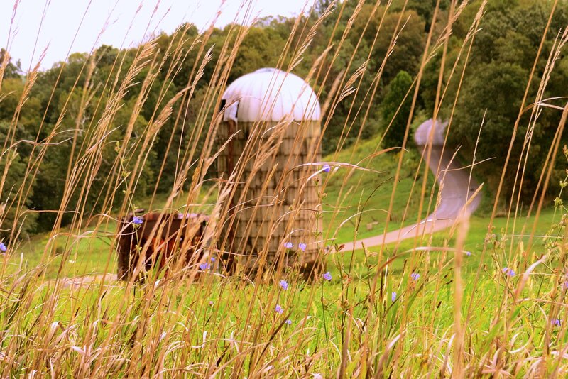 Silo in a Field