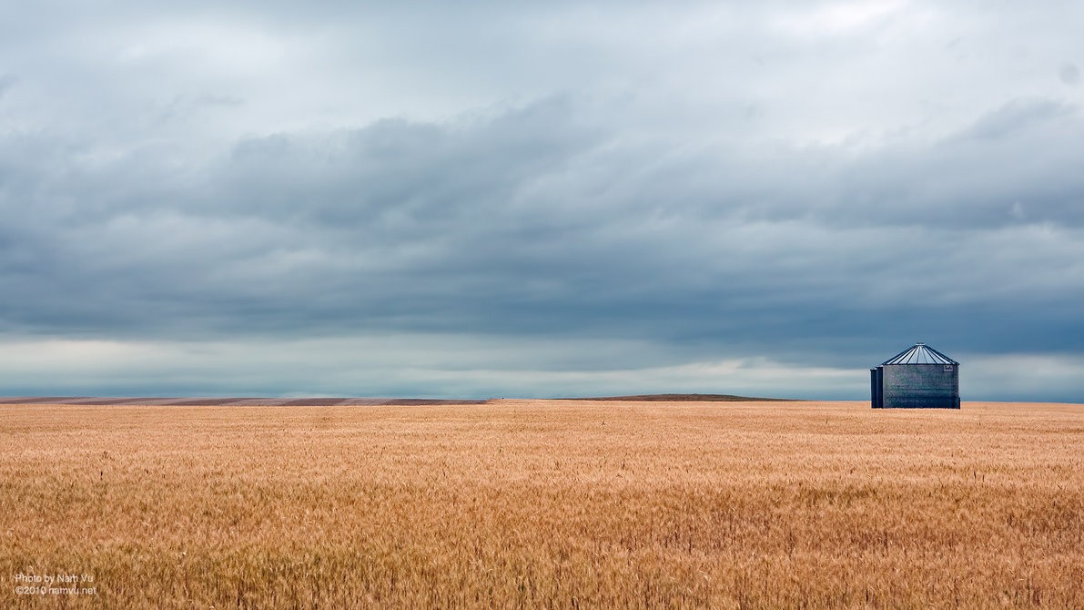 Silo in a wheat field